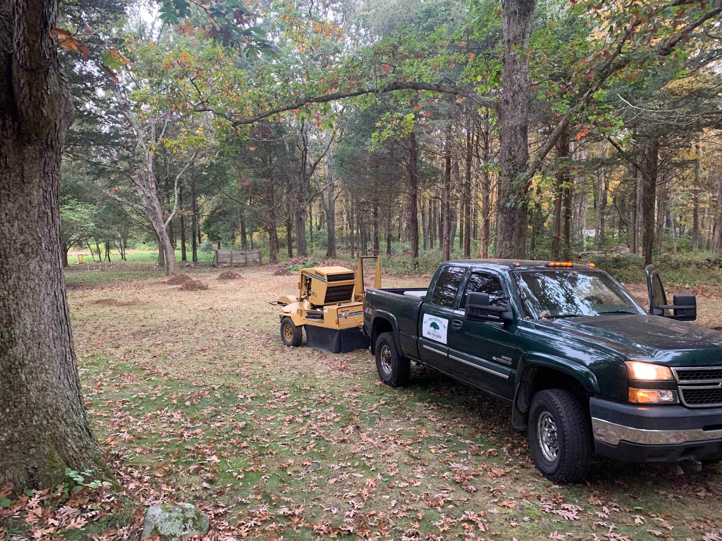 WJ Tree company truck on site